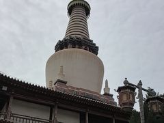 -张掖大佛寺景区