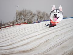 -安德鲁户外烧烤帐篷营地(马泉营店)
