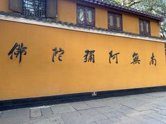 -普陀山雷迪森庄园