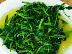 炒豌豆尖-雨田饭店(华兴东街店)