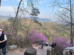 -天台山赤城山景区