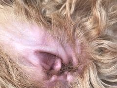 -惠康宠物医院(华能路店)