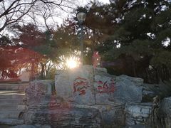 -玲珑塔公园