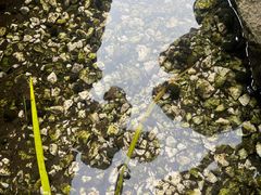 -成都市活水公园