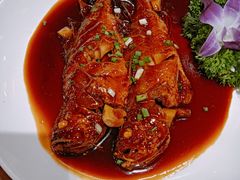 -乡村大苑(嘉定店)