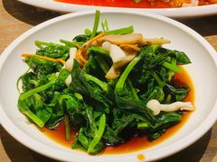 豆苗-廊亦舫Lang Yi Fang Restaurant(金桥店)