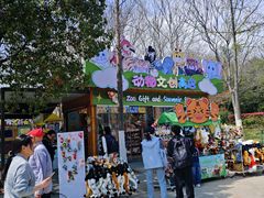 -合肥野生动物园