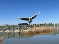 -盐城丹顶鹤湿地生态旅游区