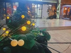 -老黑板筋(顺义总店)