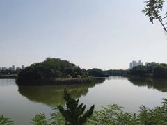 -塘沽森林公园