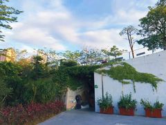 -福田红树林生态公园
