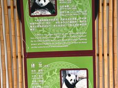 -南宁市动物园