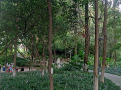 -成都市活水公园