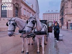-斯蒂芬主教座堂(Stephansdom)