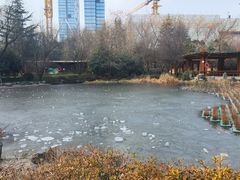 -木塔寺遗址生态公园
