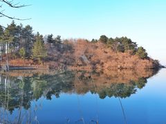 -四明山国家森林公园