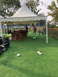 -萌宠亲子动物乐园(槐房万达店)