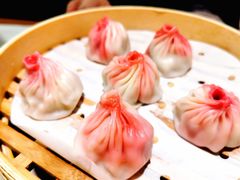 如皋萝卜牛腩小笼包-苏小柳点心·手作小笼包(新街口分院店)