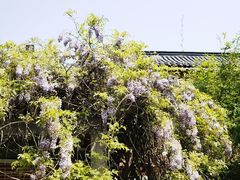 -郑和公园