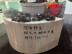 -海盗餐厅