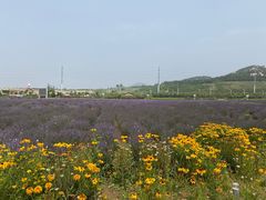 -西海岸生态观光园