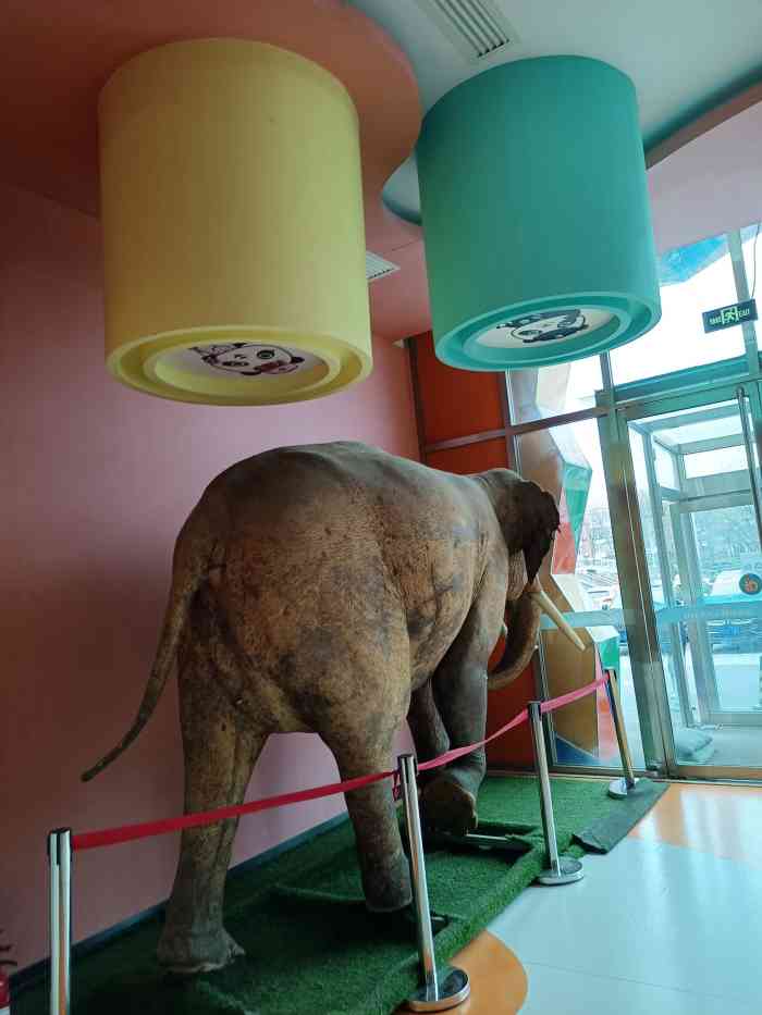 迷你世界青少年职业体验馆-"上次来是六一儿童节,人特别多!