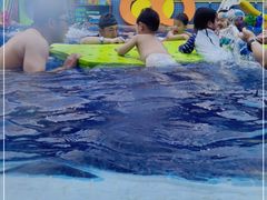 -龙格亲子游泳·水育早教运动中心(绿宝中心)