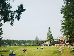 -黄海国家森林公园