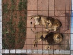 -乐和乐都主题乐园