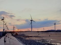 -长江澳风力发电景观区