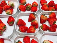 -水之梦(黄浦店)