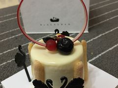 -BLACKSWAN黑天鹅(环球店)