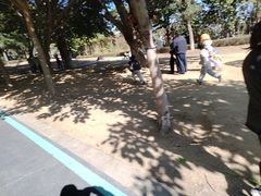 -琅岐红光湖公园