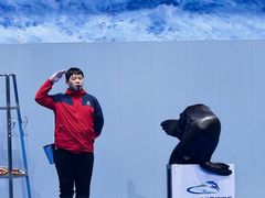 -福州罗源湾海洋世界旅游区