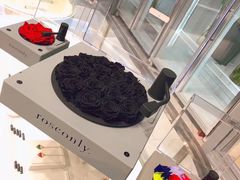 -ROSEONLY诺誓(磐基中心店)