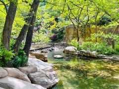 -崂山九水游览区