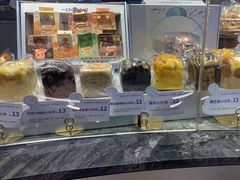 -TD66高山铁皮石斛养生茶饮