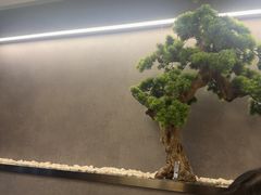 -闫府私房菜·老字号(恒隆店)