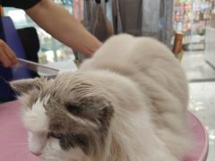 -FAELING PETS美天灵宠物(合生汇店)