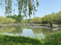 -中关村生命科学园