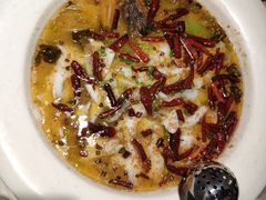 大盘酸菜鲈鱼-九毛九西北菜(番禺万达店)