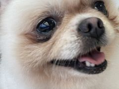 -怪兽屋·羊驼·猫咖·狗咖(俊华广场店)