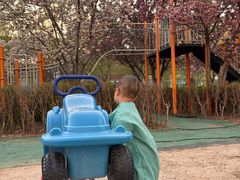 -廊坊固安福朋喜来登酒店