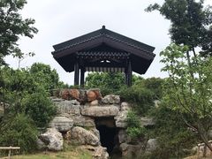 -桃花岛公园