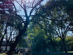 -西园戒幢律寺