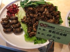 -大张烙馍村(泉山店)