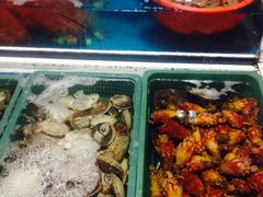 -西归浦每天偶来市场