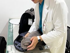 -艾贝尔宠物医院·24H转诊中心·肿瘤猫专科(江宁双龙店)