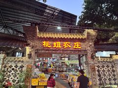 -桃姐农庄老字号(从化温泉店)