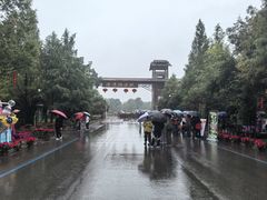 -泗洪洪泽湖湿地景区
